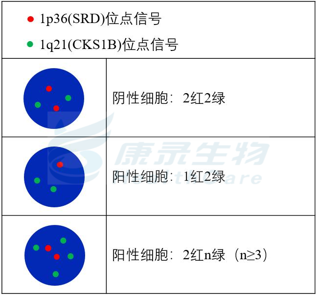 中国·拉斯维加斯(3499·官方认证)网站-Officialwebsite